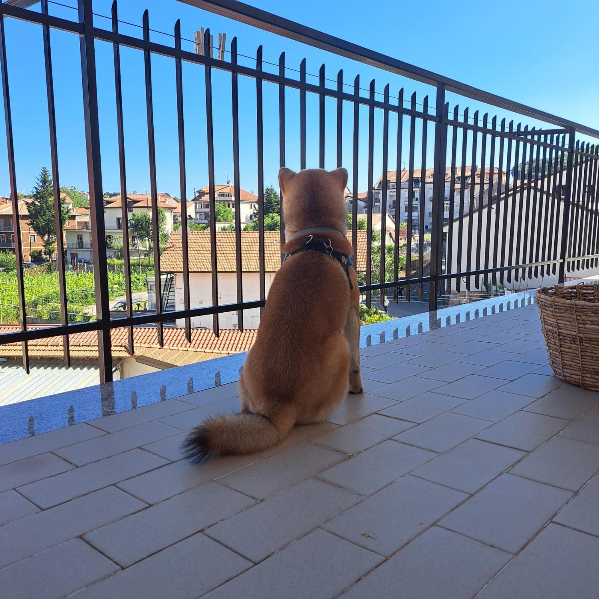 Apartmán Casa Marilyn Agerola Exteriér fotografie